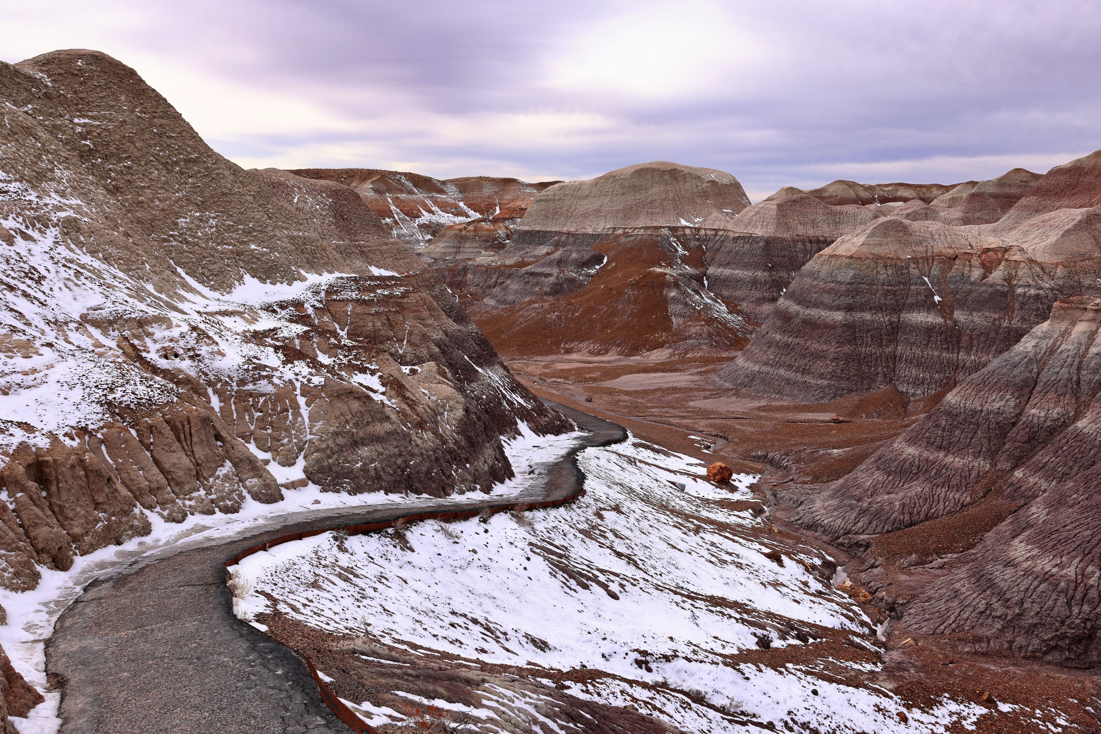 Why Travelers Book Mesa Rentals Through Stay