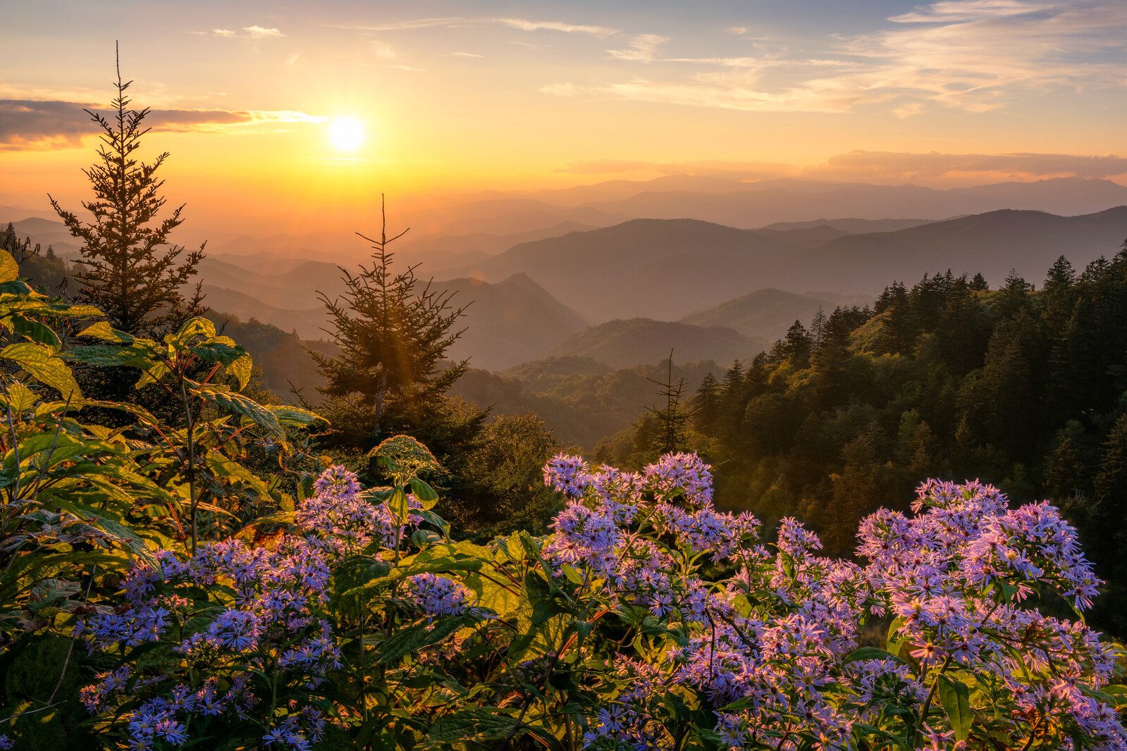 Best Places to Visit in Spring (And Book Without the Fees)