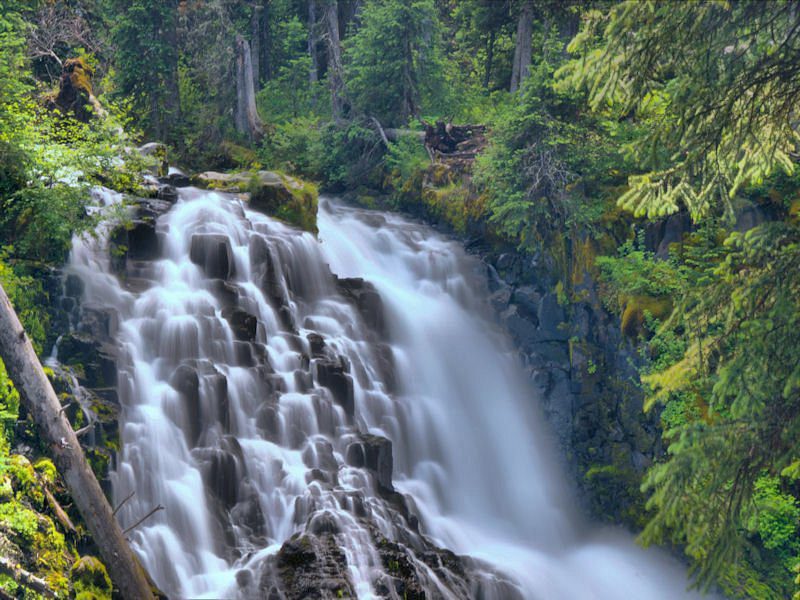 Things to Do in Gatlinburg That Aren’t Dollywood (2026 Guide)